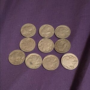 Vintage Buffalo Nickel Coin Set (10)